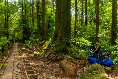 屋久島 鹿児島県 ツアー関空発 3泊4日間 屋久島ペンション ルアナハウス Peach ｍｍ Okx46mm4 Y10 Tbk Ap 国内ツアー 国内旅行なら 旅工房