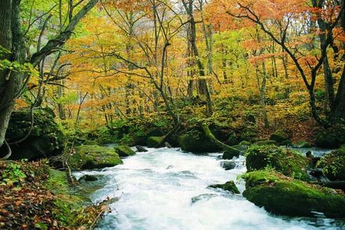 十和田湖 奥入瀬渓流 青森 青森県 ツアー伊丹発 4泊5日間 ホテル青森 日本航空 ｊｌ グループ便含む Oit02jl5 A02t01 Sgl N Tc 国内ツアー 国内旅行なら 旅工房
