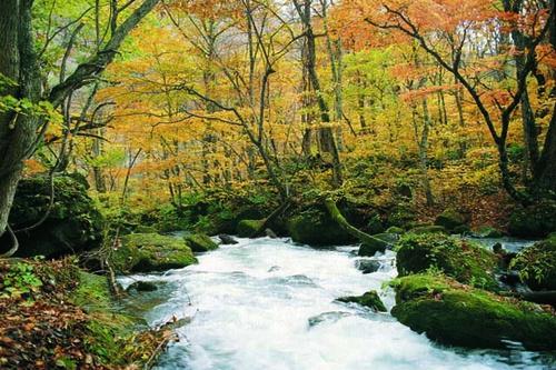 十和田湖 奥入瀬渓流 青森 青森県 ツアー伊丹発 4泊5日間 ホテル青森 日本航空 ｊｌ グループ便含む Oit02jl5 A02t01 Sgl N Tc 国内ツアー 国内旅行なら 旅工房