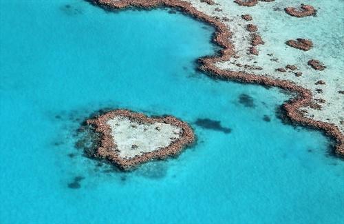 オーストラリア旅行 ツアーなら 旅工房