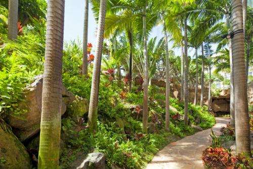 遊べるプールと緑溢れる楽園リゾート ザ ウェスティン マウイ リゾート スパ カアナパリ オーシャンビュー 7日間