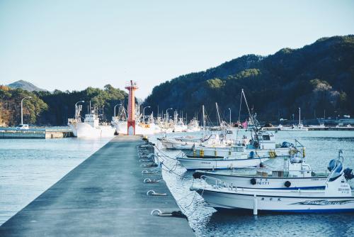 山田町の美しい海を漁船でクルーズ（イメージ）