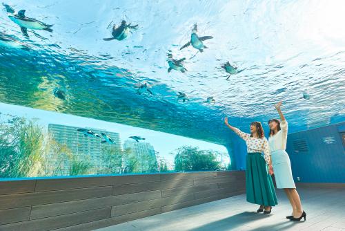 サンシャイン水族館と展望台チケット付き 59階イタリアンレストラン Ocean Casita のコースディナー付き サンシャインプリンスホテル 宿泊 1泊2日 国内ツアーなら 旅工房