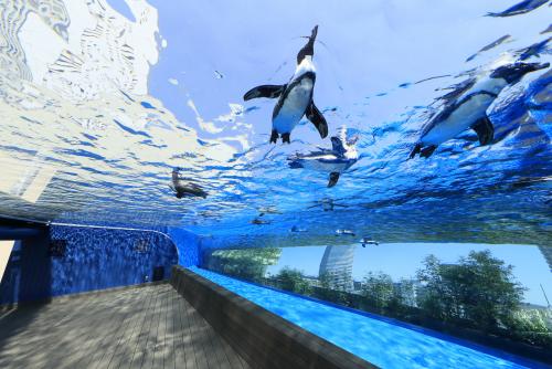 サンシャイン水族館と展望台チケット付き 59階イタリアンレストラン Ocean Casita のコースディナー付き サンシャインプリンスホテル 宿泊 1泊2日 国内ツアーなら 旅工房